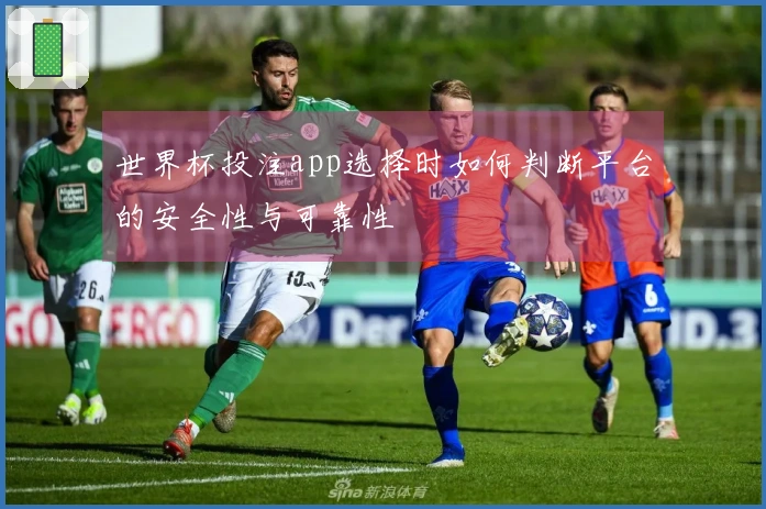世界杯投注app选择时如何判断平台的安全性与可靠性