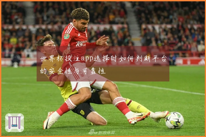 世界杯投注app选择时如何判断平台的安全性与可靠性