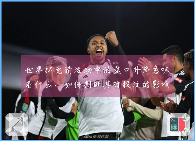 世界杯竞猜活动中的盘口升降意味着什么，如何判断其对投注的影响？