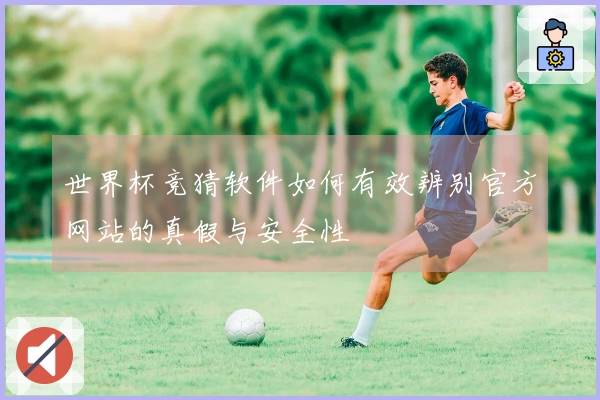 世界杯竞猜软件如何有效辨别官方网站的真假与安全性
