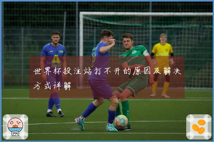 世界杯投注站打不开的原因及解决方式详解